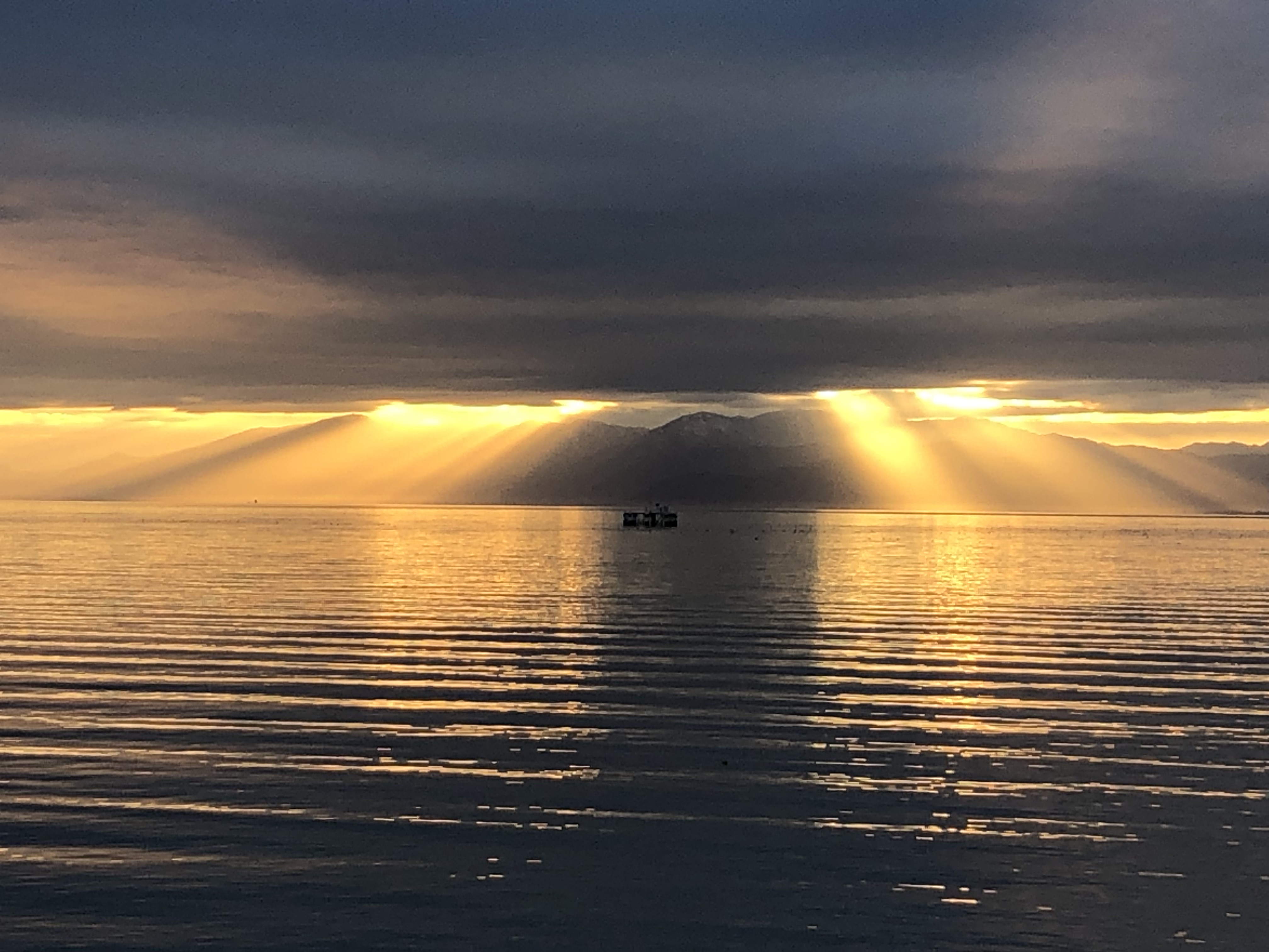 占い師楽心のお気に入り写真1